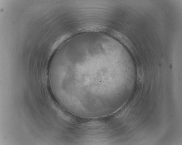 X0000074300578200609081919