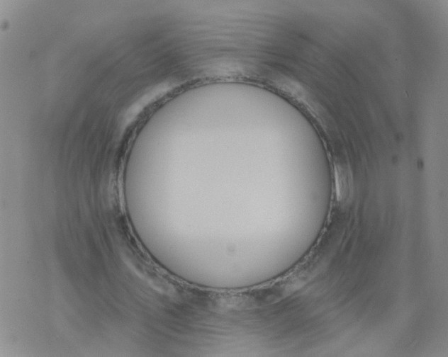 X0000074300579200609081919