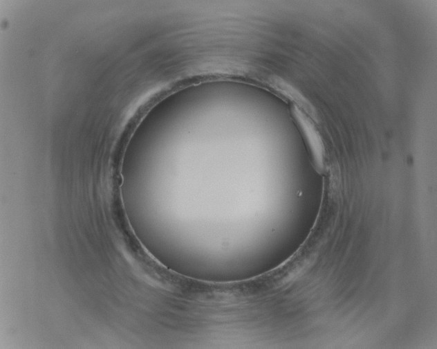 X0000074300580200609081919