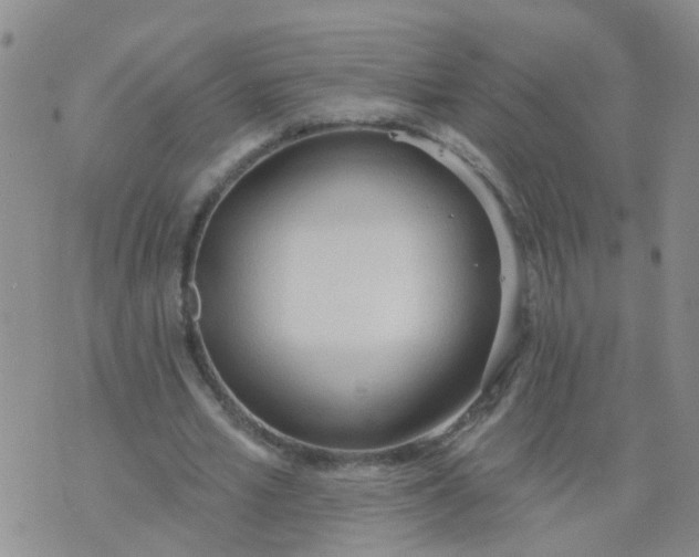 X0000074300581200609081919