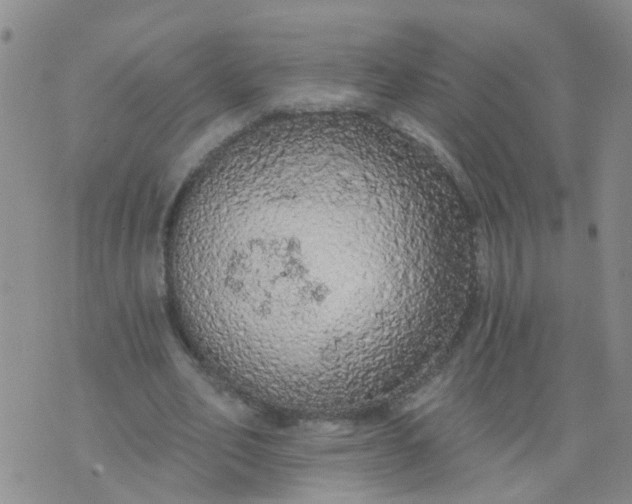 X0000074300582200609081919