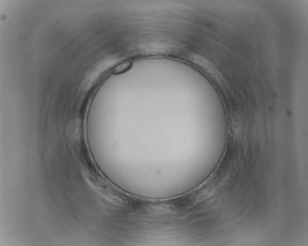 X0000074300583200609081919