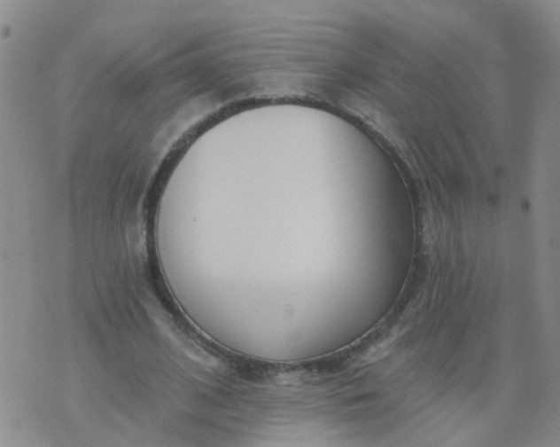 X0000074300584200609081919