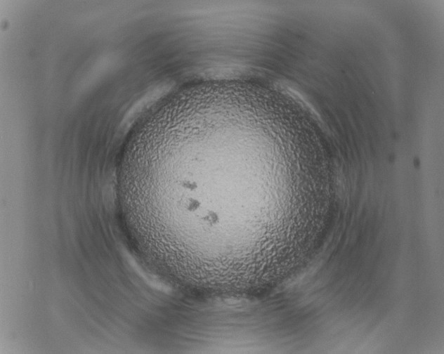 X0000074300586200609081919