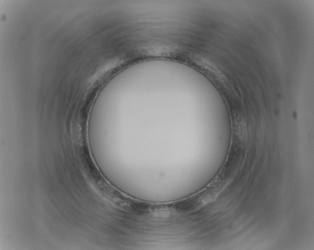 X0000074300587200609081919