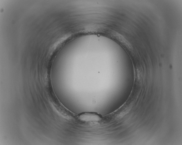 X0000074300588200609081919