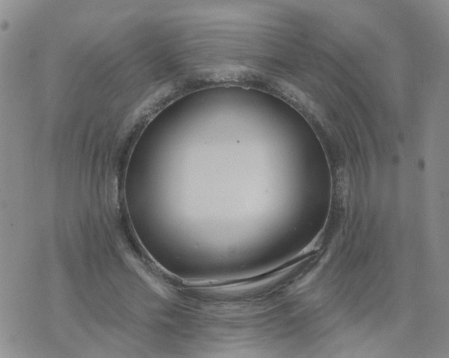 X0000074300589200609081919