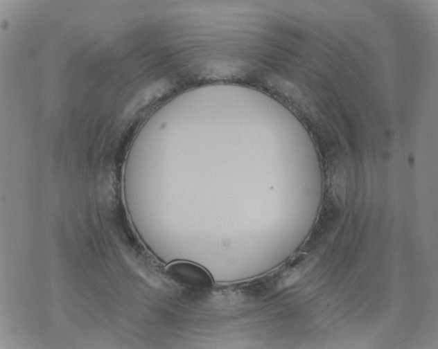 X0000074300591200609081919