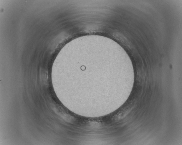 X0000074300592200609081919