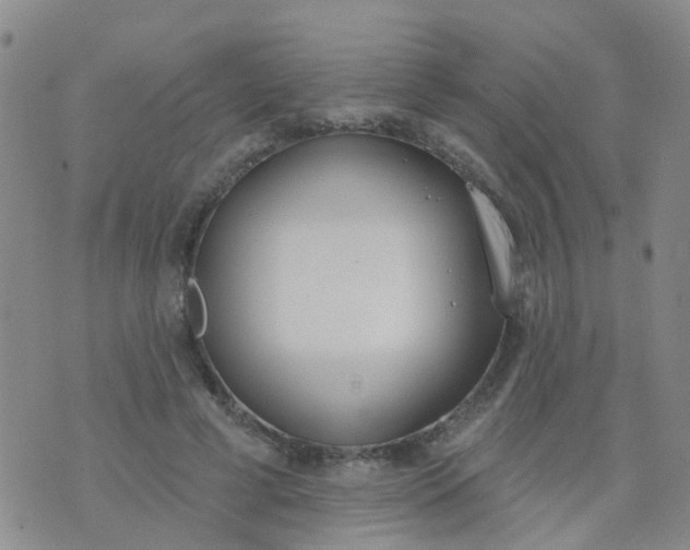 X0000074300593200609081919