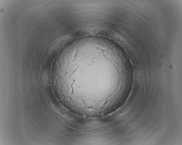 X0000074300594200609081919