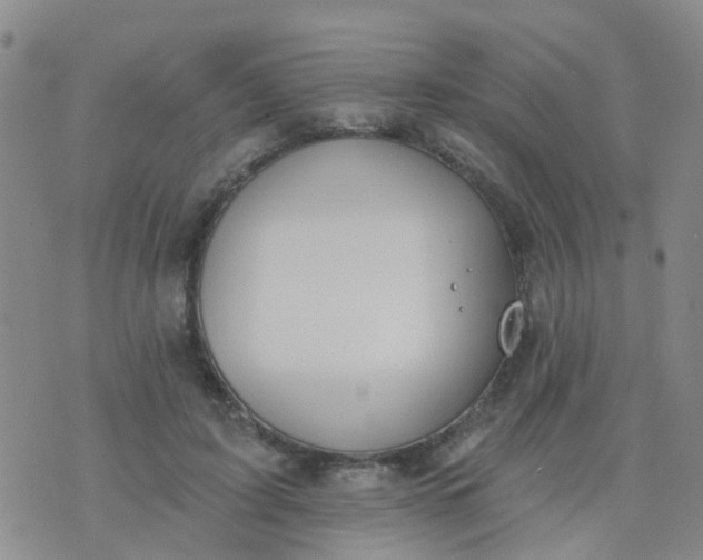 X0000074300595200609081919