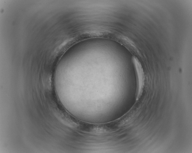 X0000074300596200609081919