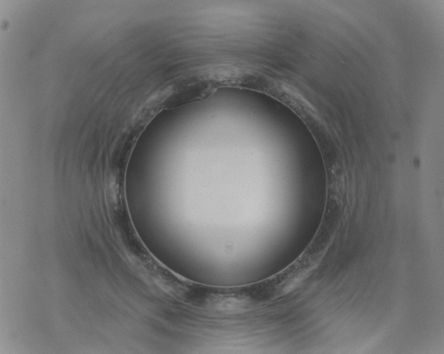 X0000074300597200609081919