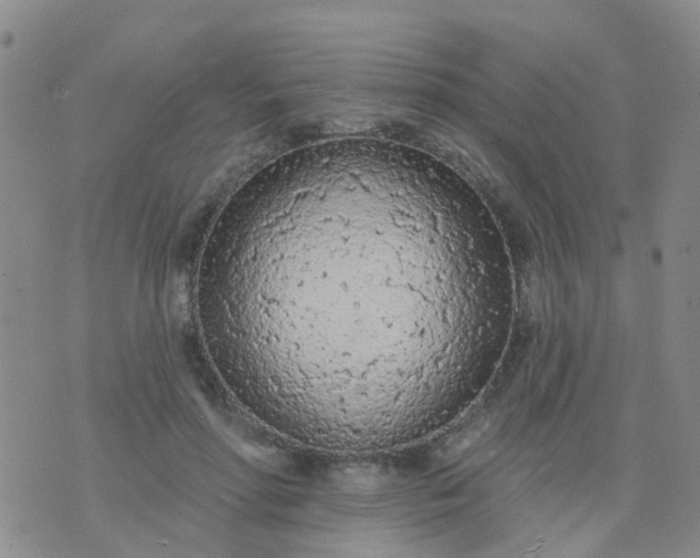 X0000074300598200609081919