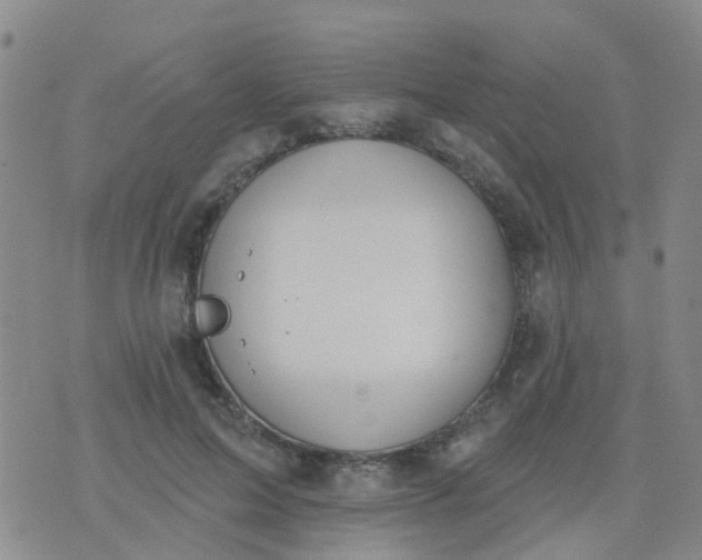 X0000074300599200609081919