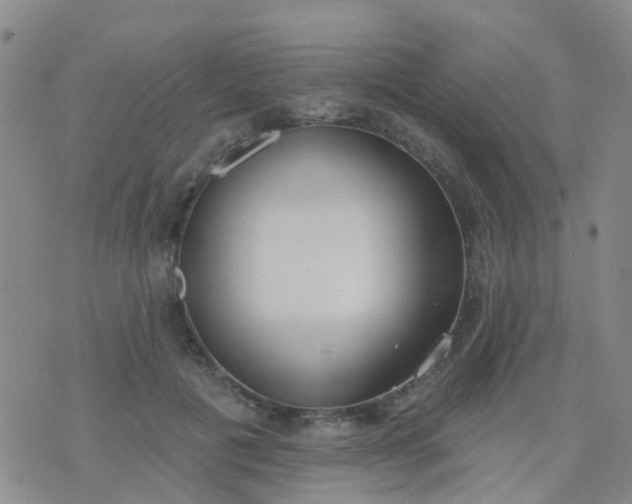 X0000074300601200609081919