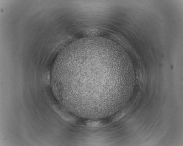 X0000074300602200609081919