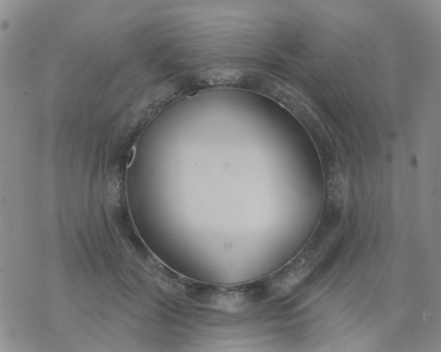 X0000074300604200609081919