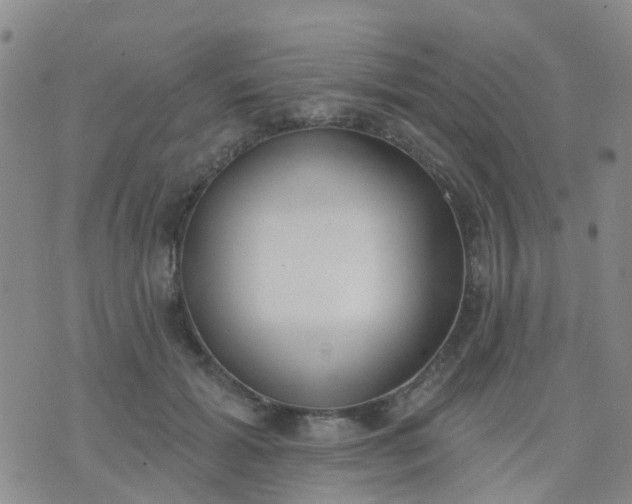 X0000074300605200609081919