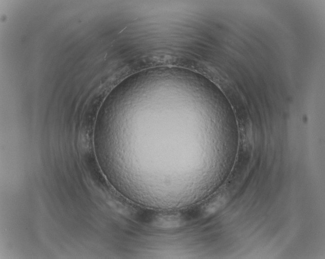 X0000074300606200609081919