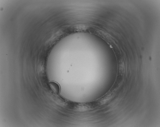 X0000074300608200609081919