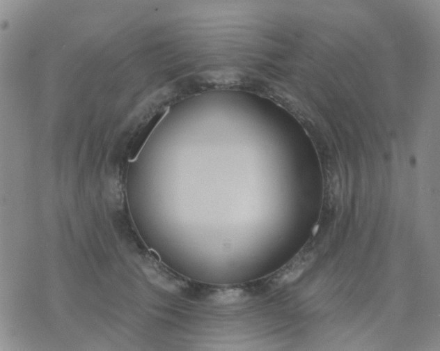 X0000074300609200609081919