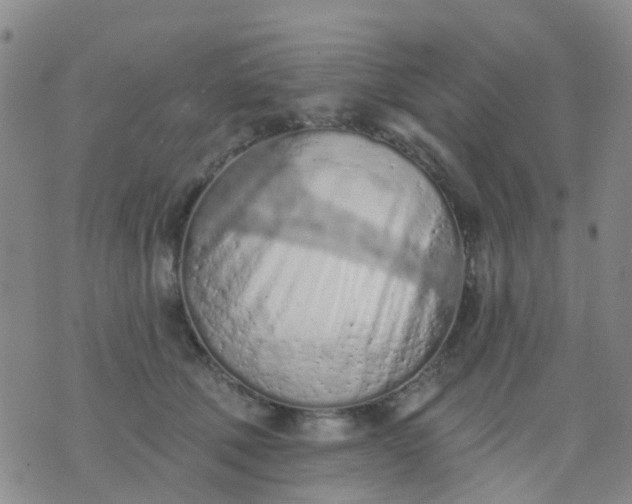 X0000074300610200609081919