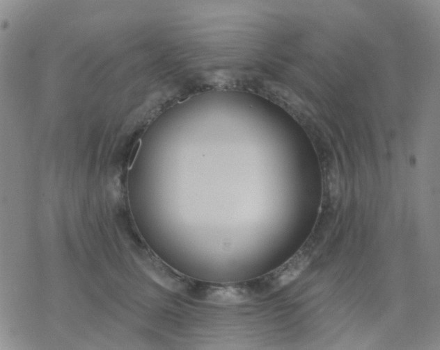 X0000074300611200609081919