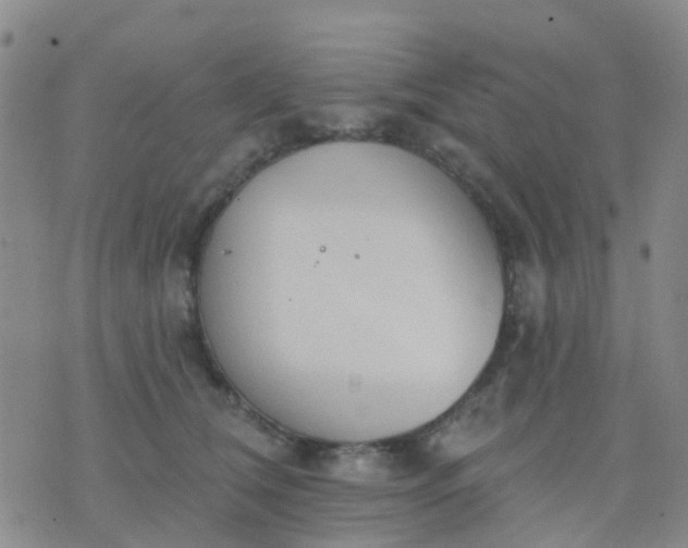 X0000074300612200609081919