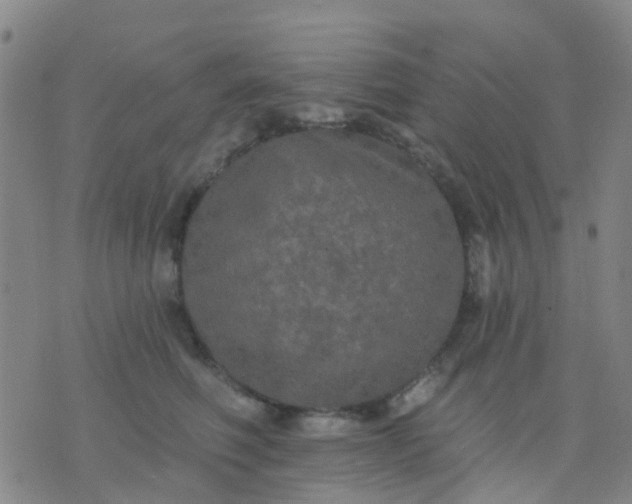 X0000074300614200609081919