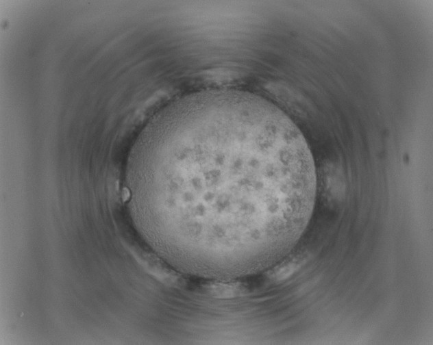 X0000074300615200609081919