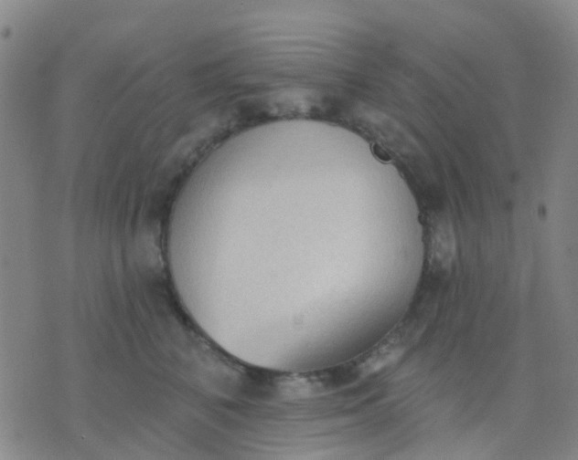 X0000074300616200609081919