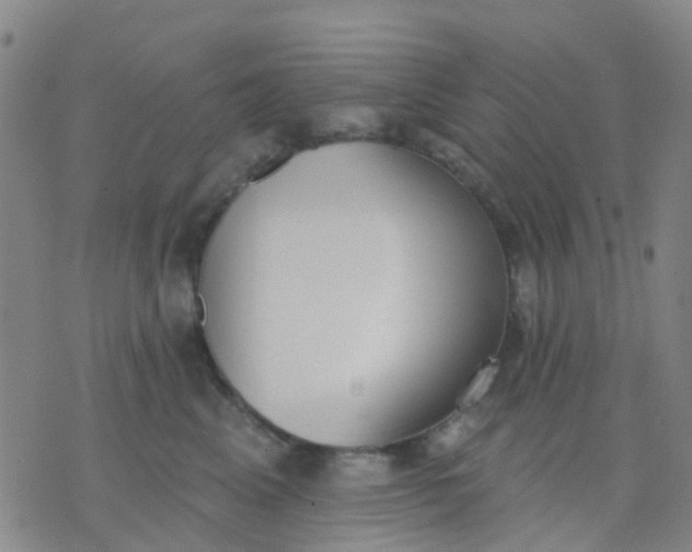 X0000074300617200609081919