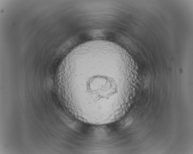 X0000074300618200609081919