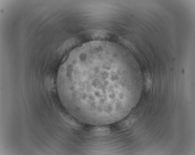 X0000074300619200609081918