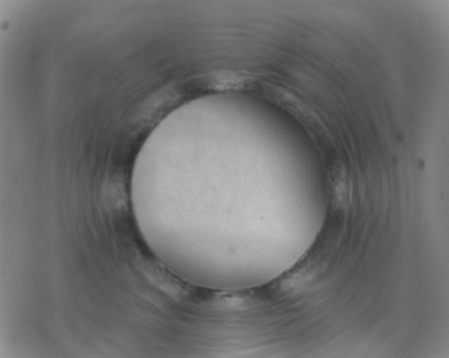 X0000074300620200609081918