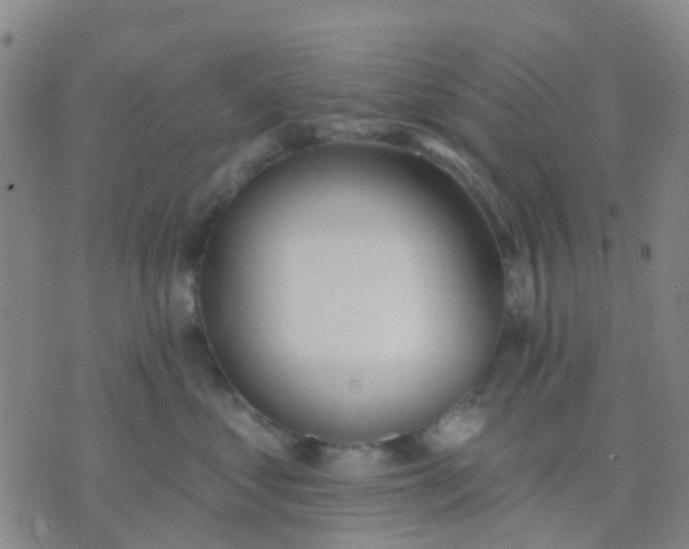 X0000074300621200609081918