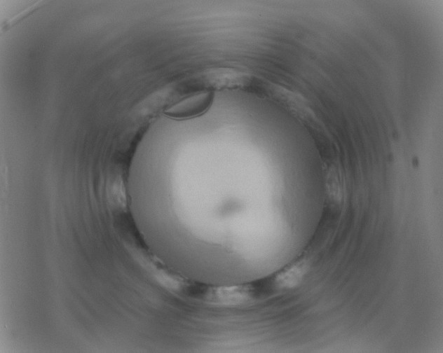 X0000074300622200609081918