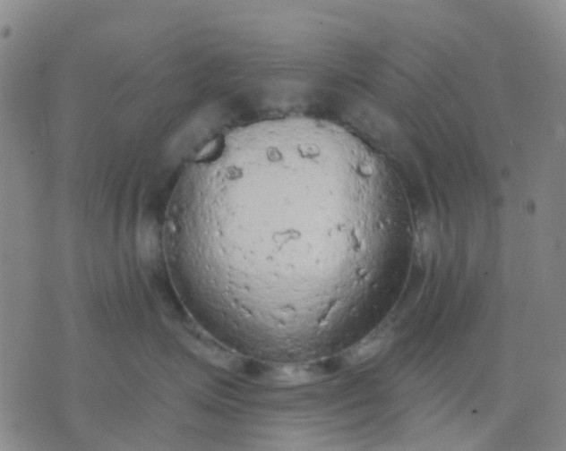 X0000074300623200609081918