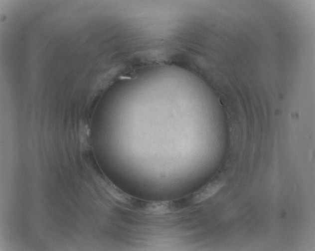 X0000074300624200609081918