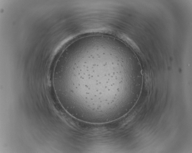 X0000074300628200609081918