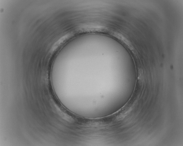 X0000074300629200609081918