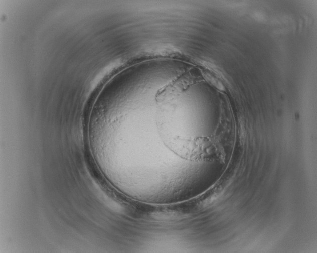 X0000074300630200609081918