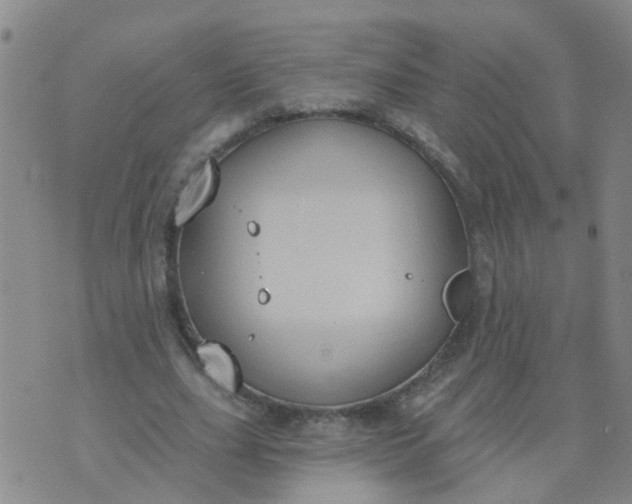 X0000074300631200609081918