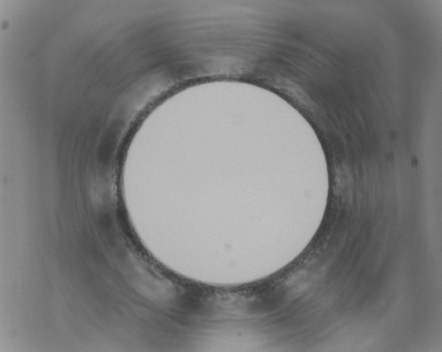 X0000074300632200609081918