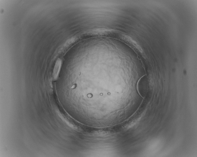 X0000074300633200609081918