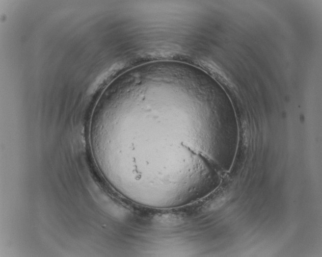 X0000074300634200609081918