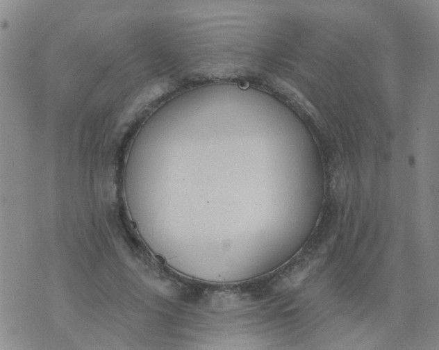 X0000074300635200609081918