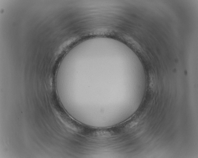 X0000074300636200609081918